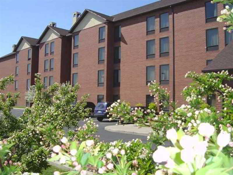 Hampton Inn & Suites Cleveland-Airport/Middleburg Heights Exterior foto